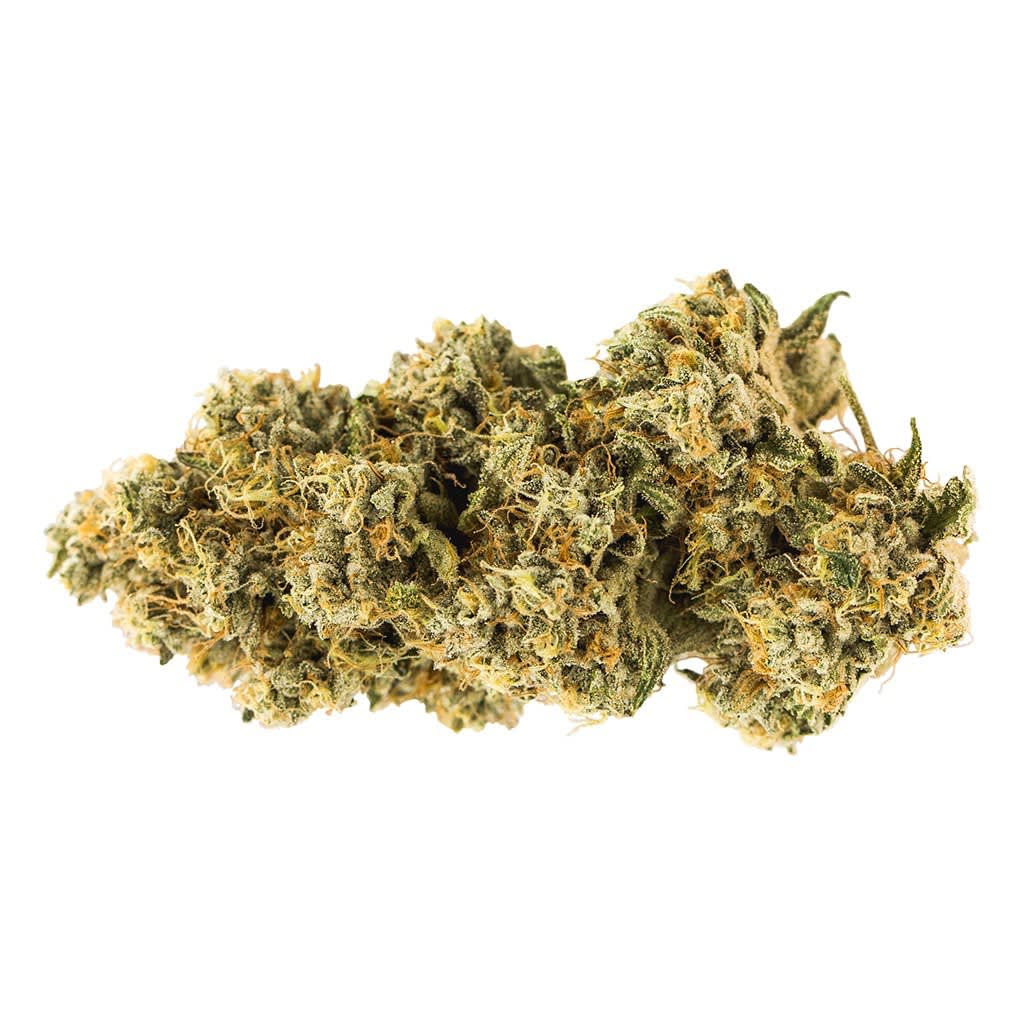 Carmel - Animal Face - Animal Face 3.5g Dried Flower
